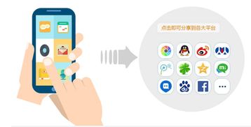 世华优品挂售系统开发 广州软件开发的创新实践与市场机遇