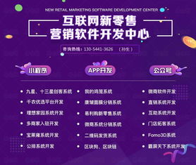 乐享天下系统开发搭建方案与设计 专业定制助力数字化升级